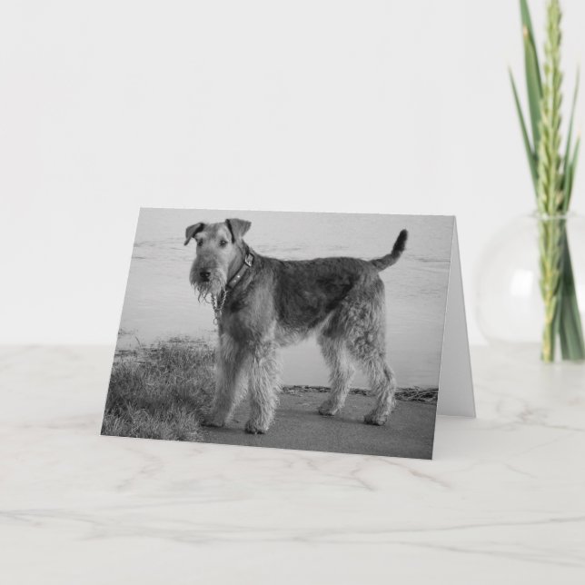 Tarjeta Feliz cumpleaños Airedale Terrier Perro de cachorr (Anverso)