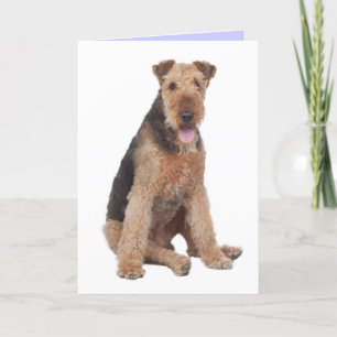 Tarjeta Feliz cumpleaños Airedale Terrier Perro de cachorr