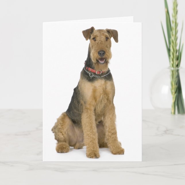 Tarjeta Feliz cumpleaños Airedale Terrier Perro de cachorr (Anverso)