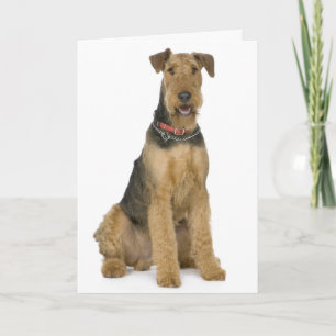 Tarjeta Feliz cumpleaños Airedale Terrier Perro de cachorr