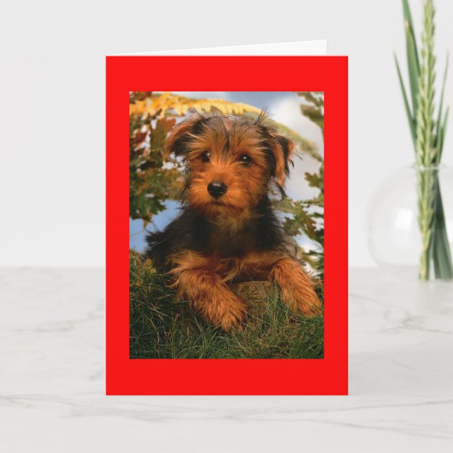 Tarjeta Feliz cumpleaños Airedale Terrier Perro de cachorr (Anverso)