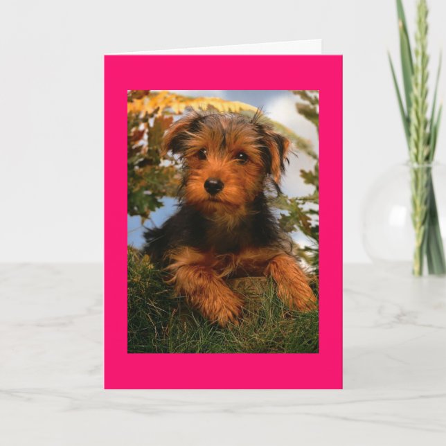 Tarjeta Feliz cumpleaños Airedale Terrier Puppy Dog Card (Anverso)
