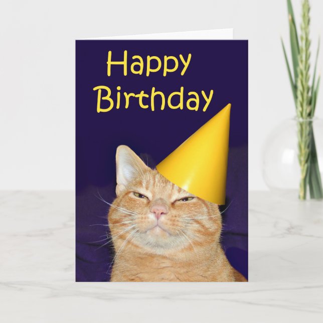 Tarjeta Feliz cumpleaños al gato feliz (Anverso)