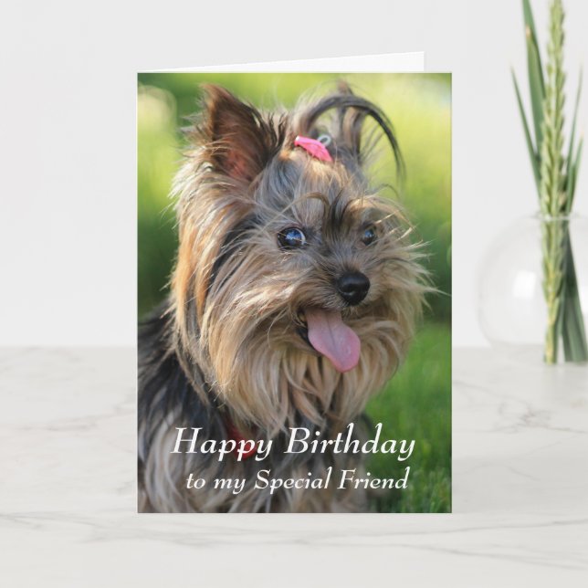 Tarjeta Feliz cumpleaños, amigo especial Fun Yorkie Dog (Anverso)