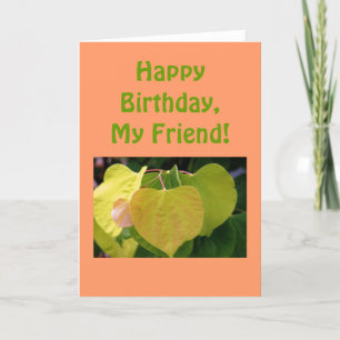 Tarjeta "¡Feliz cumpleaños, amigo mío!" (fotografía)