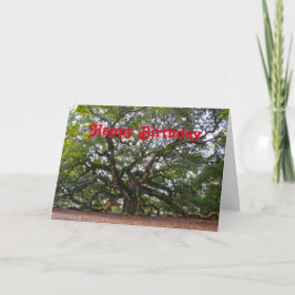 Tarjeta Feliz cumpleaños Angel Oak South Carolina