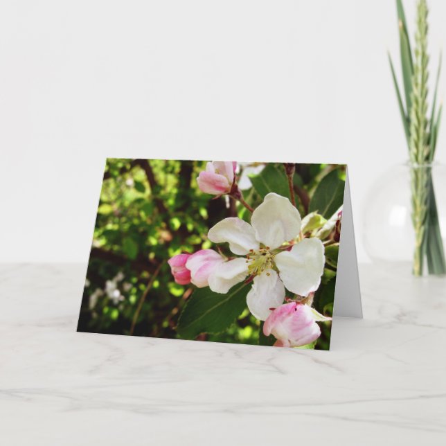 Tarjeta Feliz cumpleaños_Apple-Blossom (Anverso)