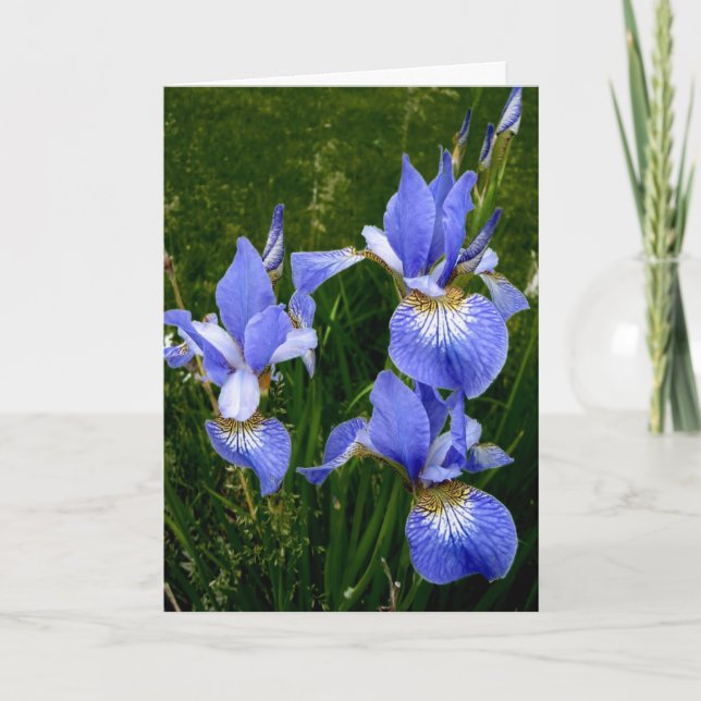 Tarjeta Feliz cumpleaños - Azul Iris-Oscuro (Anverso)