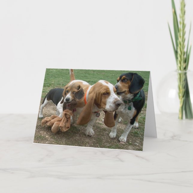 Tarjeta Feliz cumpleaños Beagle Basset Hound Card (Anverso)