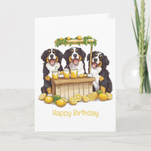 Tarjeta Feliz cumpleaños Bernese Mountain Dog Lemonade Sta