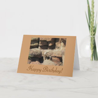 Tarjeta Feliz cumpleaños Bighorn Sheep Card