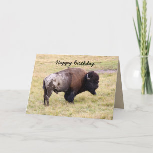 Tarjeta Feliz cumpleaños, bisonte polvoriento Bull