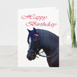 Tarjeta Feliz cumpleaños, Black Welsh Pony.