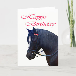 Tarjeta Feliz cumpleaños, Black Welsh Pony.