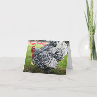 Feliz cumpleaños, Blank, Rooster