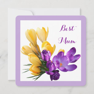 Tarjeta Feliz cumpleaños bonito crocus morado amarillo flo