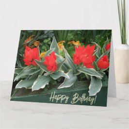 Tarjeta Feliz cumpleaños bonito tulipanes rojos florido el