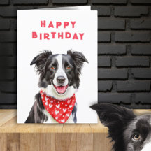 Feliz cumpleaños Border Collie Bandana Roja de Cor
