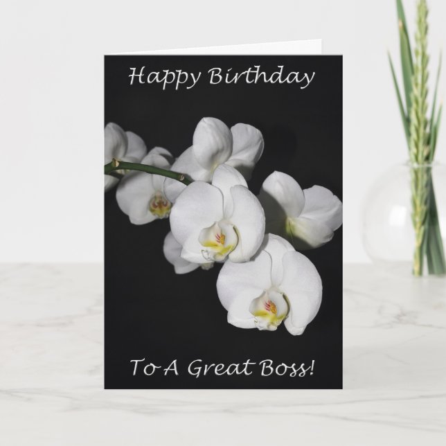 Tarjeta Feliz cumpleaños Bosque Orquídea Blanca (Anverso)