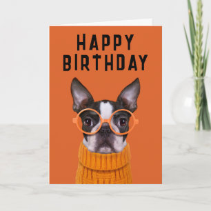 Tarjeta Feliz Cumpleaños   Boston Terrier Naranja
