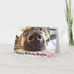 Tarjeta ¡Feliz cumpleaños Brother uno que miro para arriba<br><div class="desc">¡Feliz cumpleaños al que miro para arriba a! El perro lindo Brother apreciará esta tarjeta</div>