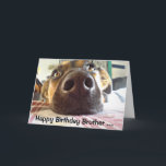 Tarjeta ¡Feliz cumpleaños Brother uno que miro para arriba<br><div class="desc">¡Feliz cumpleaños al que miro para arriba a! El perro lindo Brother apreciará esta tarjeta</div>