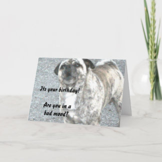 Tarjeta Feliz Cumpleaños Bull Dog