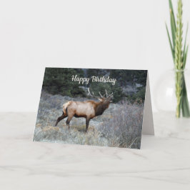 Tarjeta Feliz cumpleaños, Bull Elk Bugling