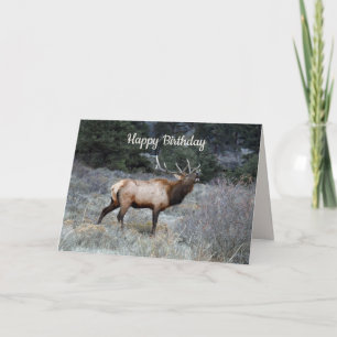 Tarjeta Feliz cumpleaños, Bull Elk Bugling
