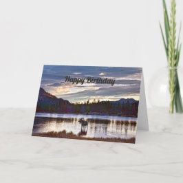 Tarjeta Feliz cumpleaños, Bull Moose, Sprague Lake, Colora