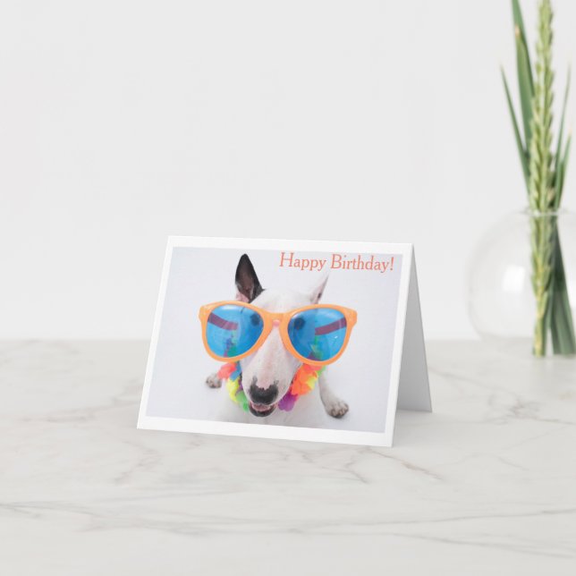 Tarjeta Feliz cumpleaños Bull Terrier Card (Anverso)