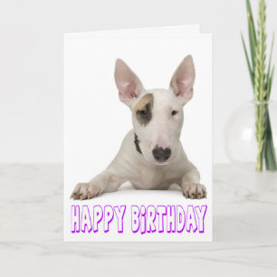 Tarjeta Feliz cumpleaños Bull Terrier Perro Cachorro