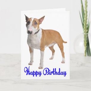 Tarjeta Feliz cumpleaños Bull Terrier Perro Cachorro
