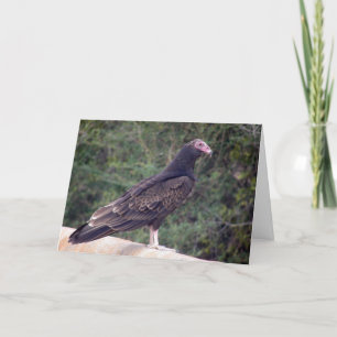 Tarjeta Feliz cumpleaños - Buzzard