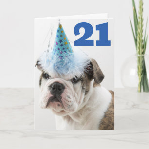 Tarjeta Feliz Cumpleaños   Cachorro de Bulldog Británico