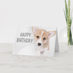 Tarjeta Feliz Cumpleaños Cachorro Joven Corgi