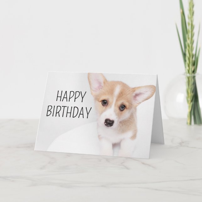 Tarjeta Feliz Cumpleaños | Cachorro Joven Corgi (Anverso)