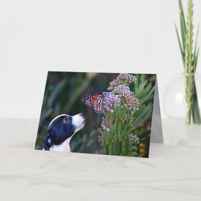 Tarjeta Feliz cumpleaños, campeón de mariposa y súper lind (Anverso)