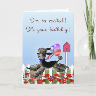 Tarjeta Feliz cumpleaños, caniche negro emocionado en un