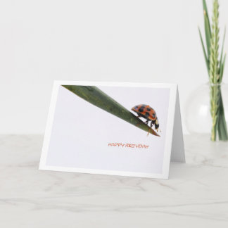 Tarjeta Feliz Cumpleaños Card Ladybird