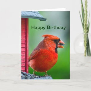 Tarjeta Feliz cumpleaños - cardenal de sexo masculino