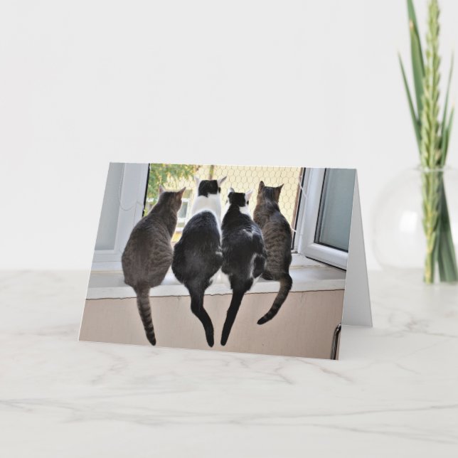 Tarjeta Feliz Cumpleaños Cat Lover (Anverso)