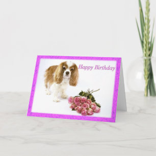 Tarjeta Feliz cumpleaños Cavalier King Charles Spaniel Car