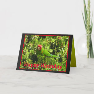 Tarjeta feliz cumpleaños Cereza-dirigido de Conure