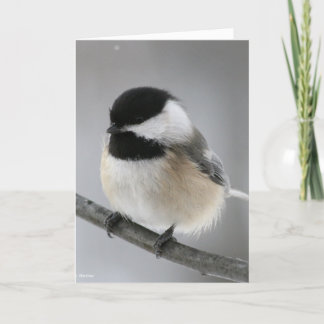 Tarjeta ¡Feliz cumpleaños Chicky Poo!