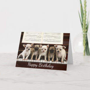 Tarjeta Feliz cumpleaños Chihuahua Perro    Cachorro( Chew