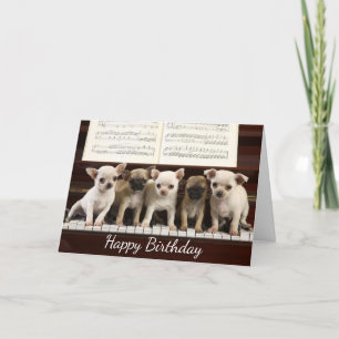 Tarjeta Feliz cumpleaños Chihuahua Perro Cachorro ( Chewaw