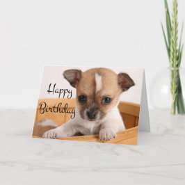 Tarjeta Feliz cumpleaños Chihuahua Perro de cachorro - Ver