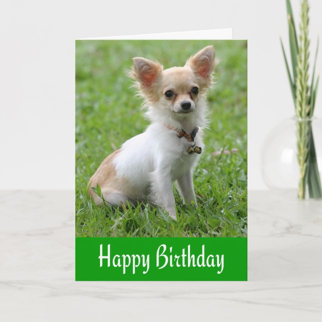 Tarjeta Feliz cumpleaños Chihuahua Puppy Green Greaming Ca (Anverso)
