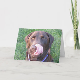 Tarjeta ¡Feliz Cumpleaños Chocolate Lab Cute y Funny Card!